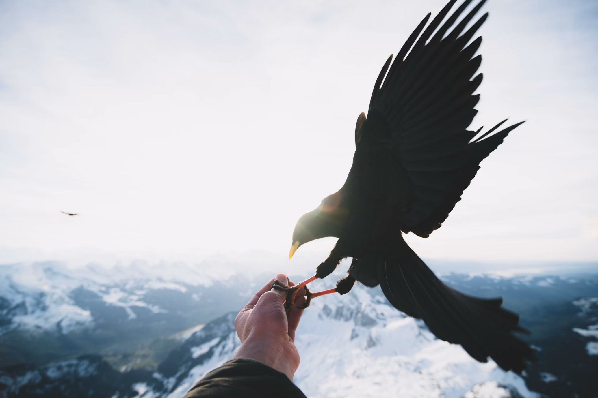 A Bird in the Hand is Worth Two in the Bush - Understanding Time Value in Investing